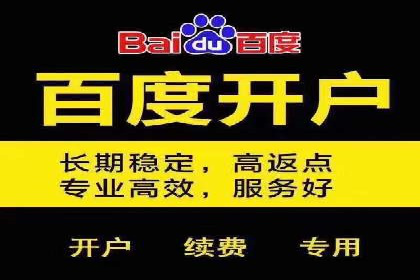 SEM网络推广成功案例：打造爆款关键词策略